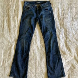 Hudson Flare Jeans